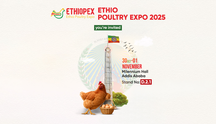 Big Farm, Ethio Poultry Expo 2025’te Afrika Pazarında
