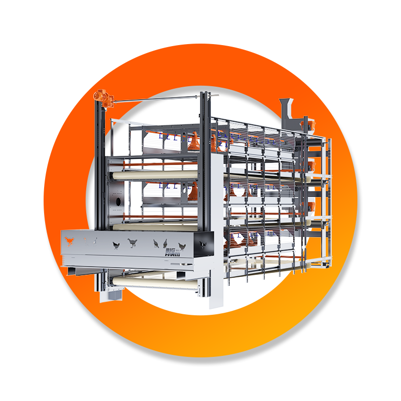 Broiler Sevk Sistemi