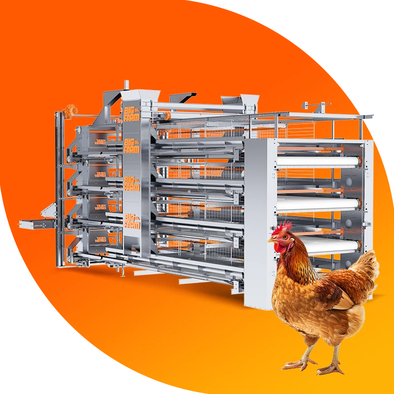 BF - N60 Yumurta Kafesi